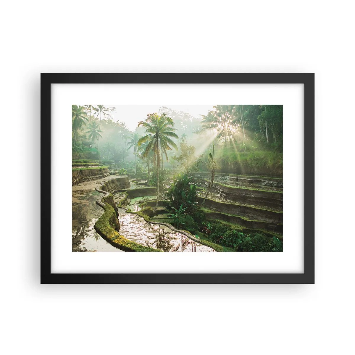 Poster in een zwarte lijst - Opgroeien in de zon - 40x30 cm