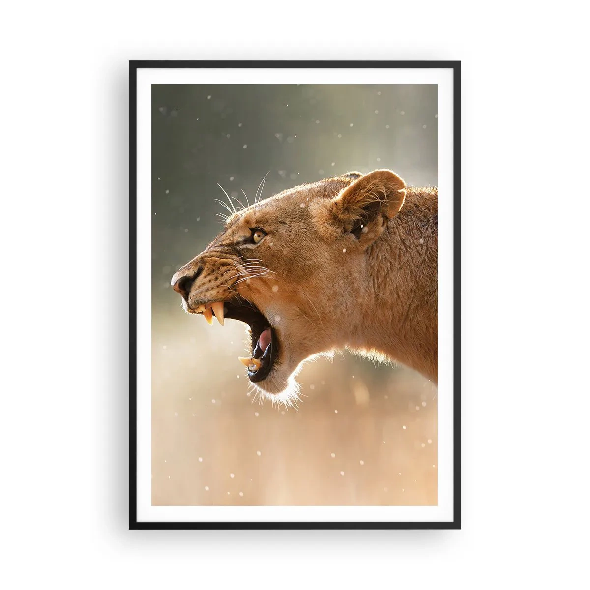 Poster in een zwarte lijst - Probeer niet te luisteren - 70x100 cm