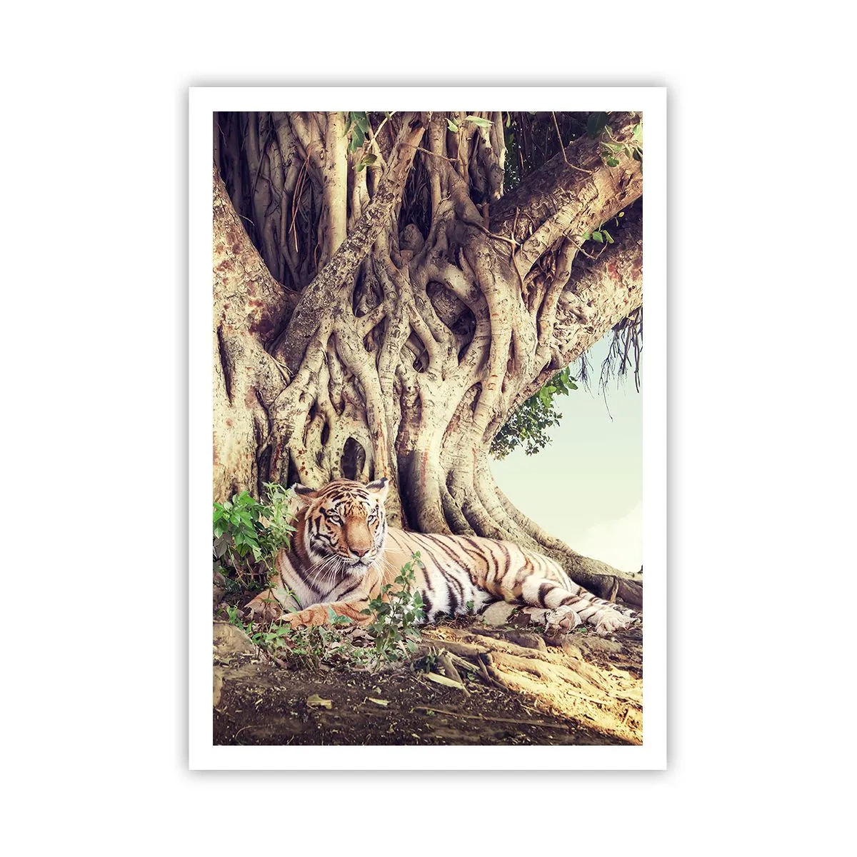 Poster - Uitzicht vanuit het boek Genesis - 70x100 cm