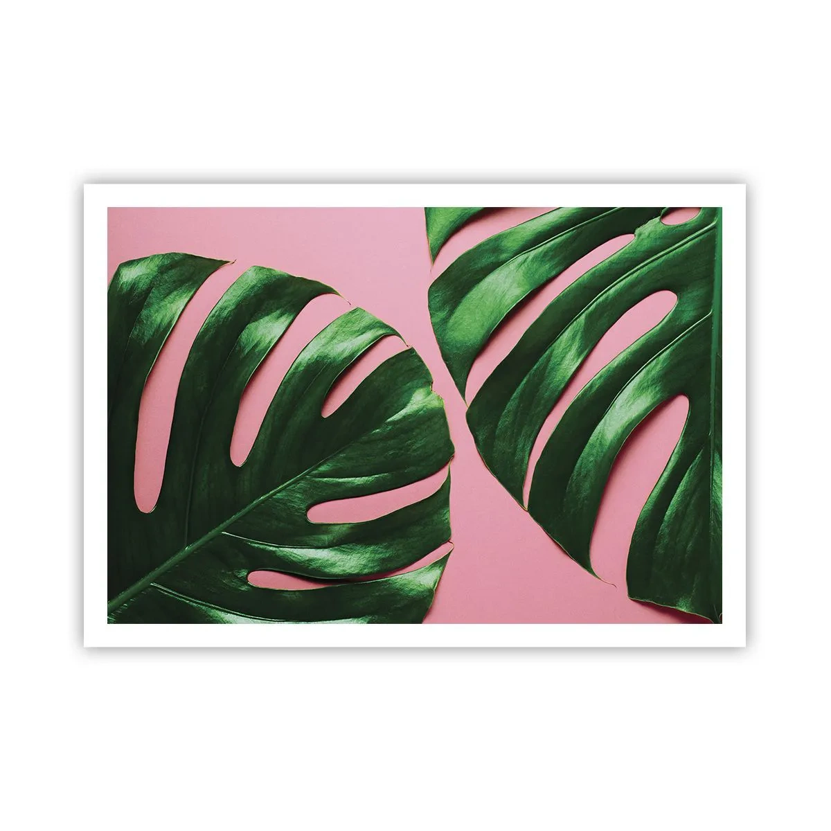 Poster - Groene rendez-vous - 100x70 cm