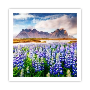 Poster - Kracht en soberheid naast zachtheid - 60x60 cm