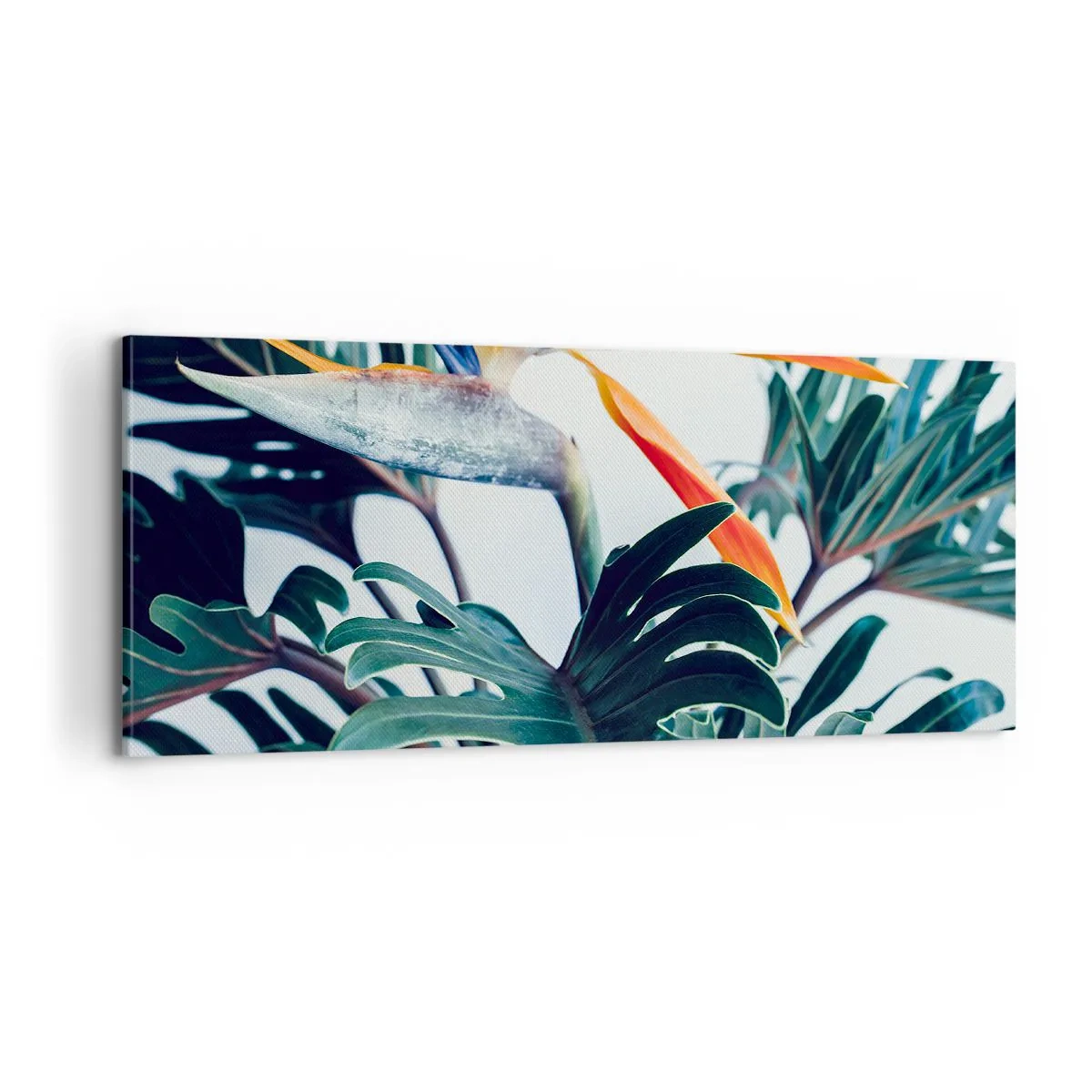 Schilderen op canvas - Vogelstruik - 100x40 cm