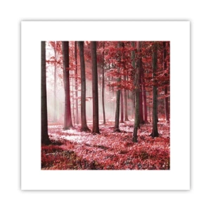 Poster - Rood is net zo mooi - 30x30 cm
