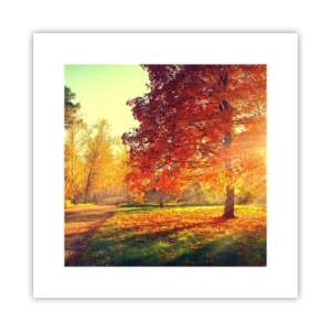 Poster - Rood is mooi - 30x30 cm