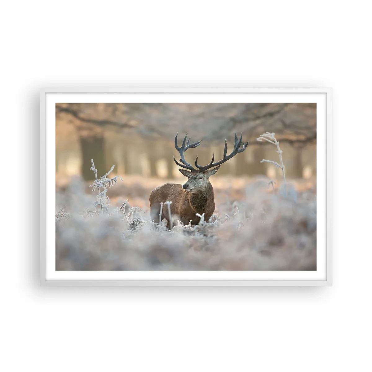 Poster in een witte lijst - Een frisse ochtend - 91x61 cm