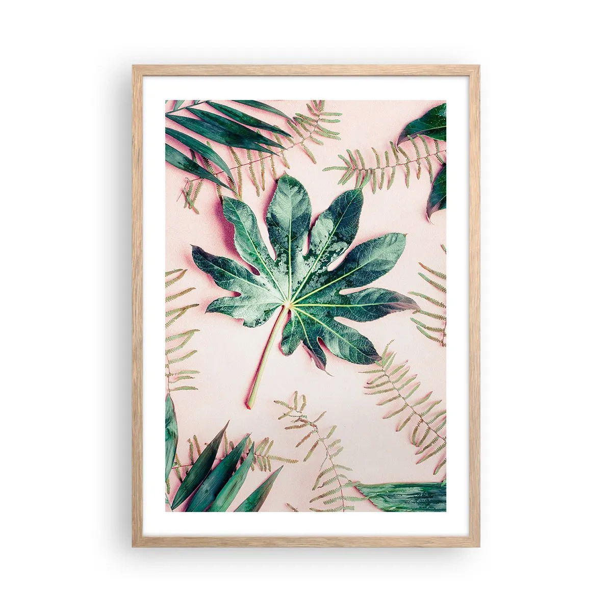 Een poster in een licht eiken lijst - Een studie van groen op een roze achtergrond - 50x70 cm