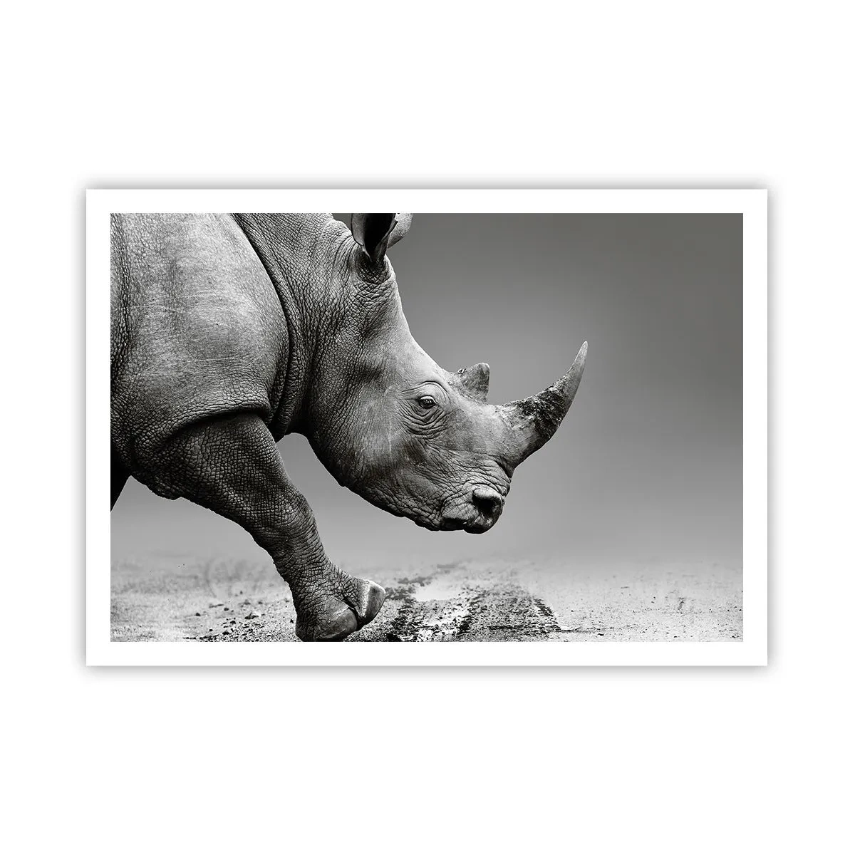 Poster - Onstuitbare kracht - 100x70 cm