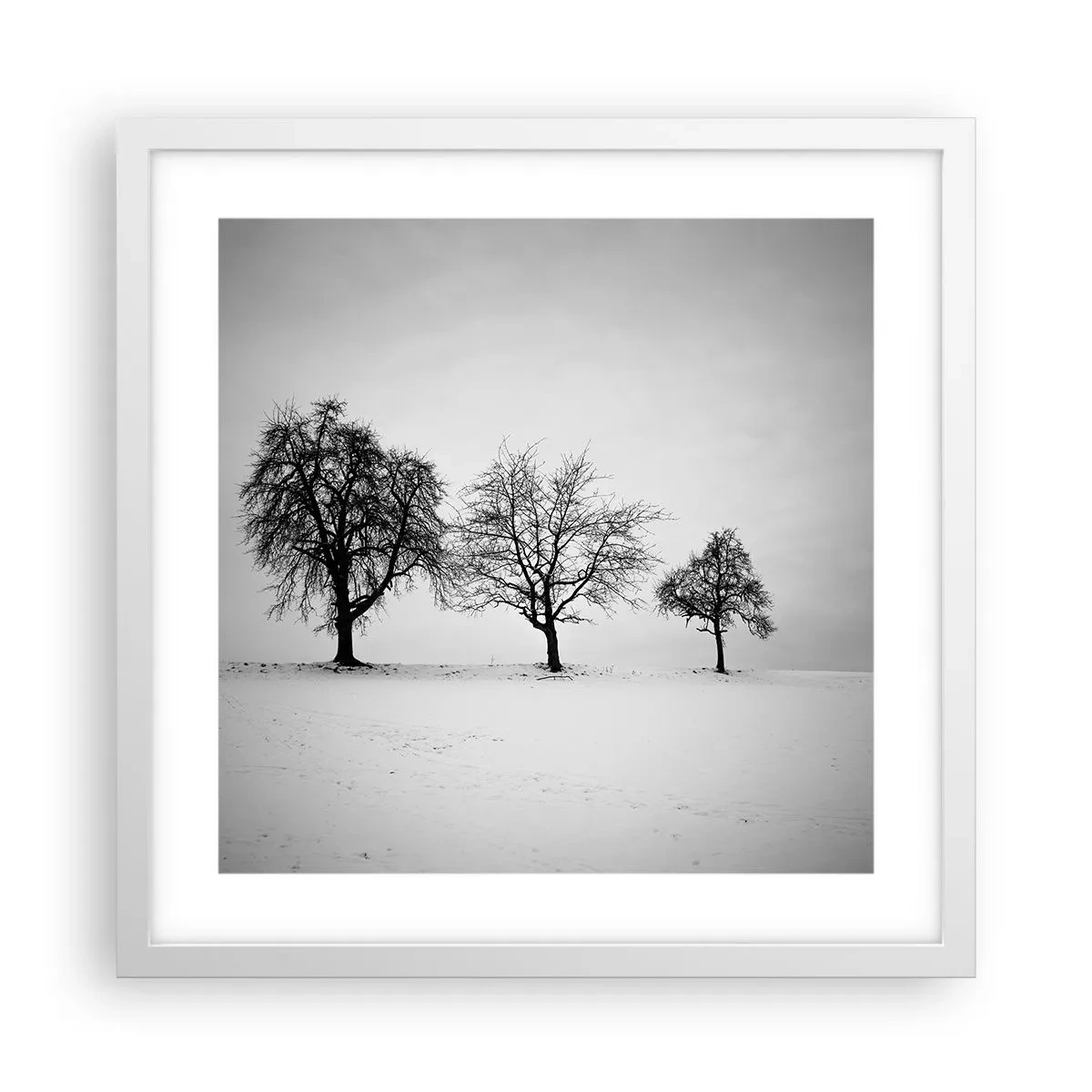 Poster in een witte lijst - Waar dromen ze over? - 40x40 cm