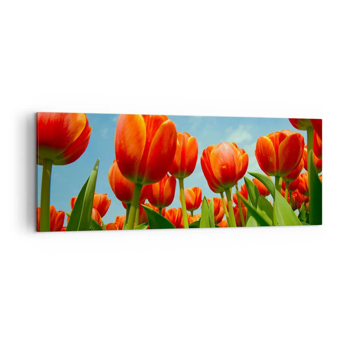 Schilderen op canvas - Afgezien van de blauwe lucht hebben ze niets nodig in hun leven - 140x50 cm