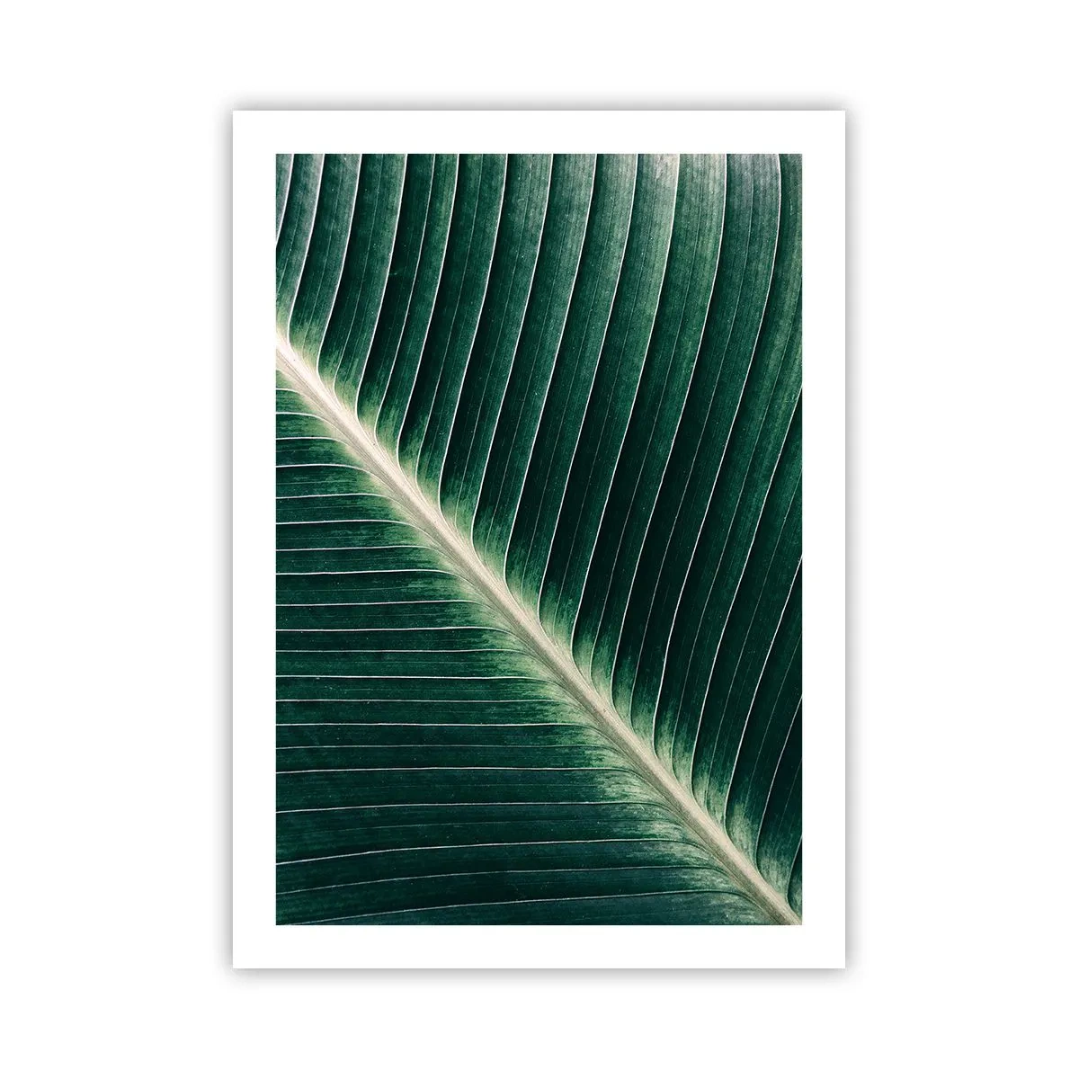 Poster - Het ritme van de natuur - 50x70 cm