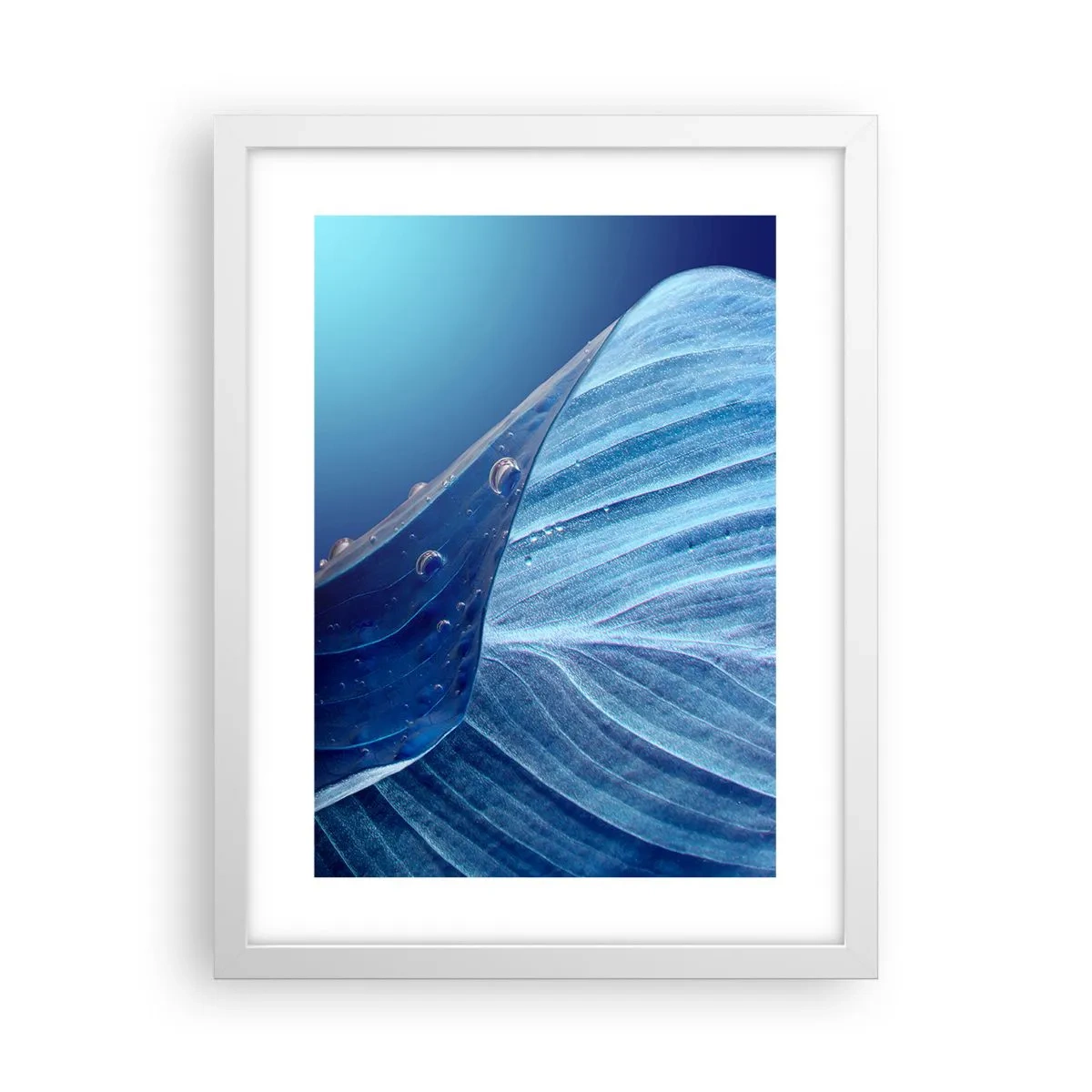 Poster in een witte lijst - Verborgen druppels blauw - 30x40 cm