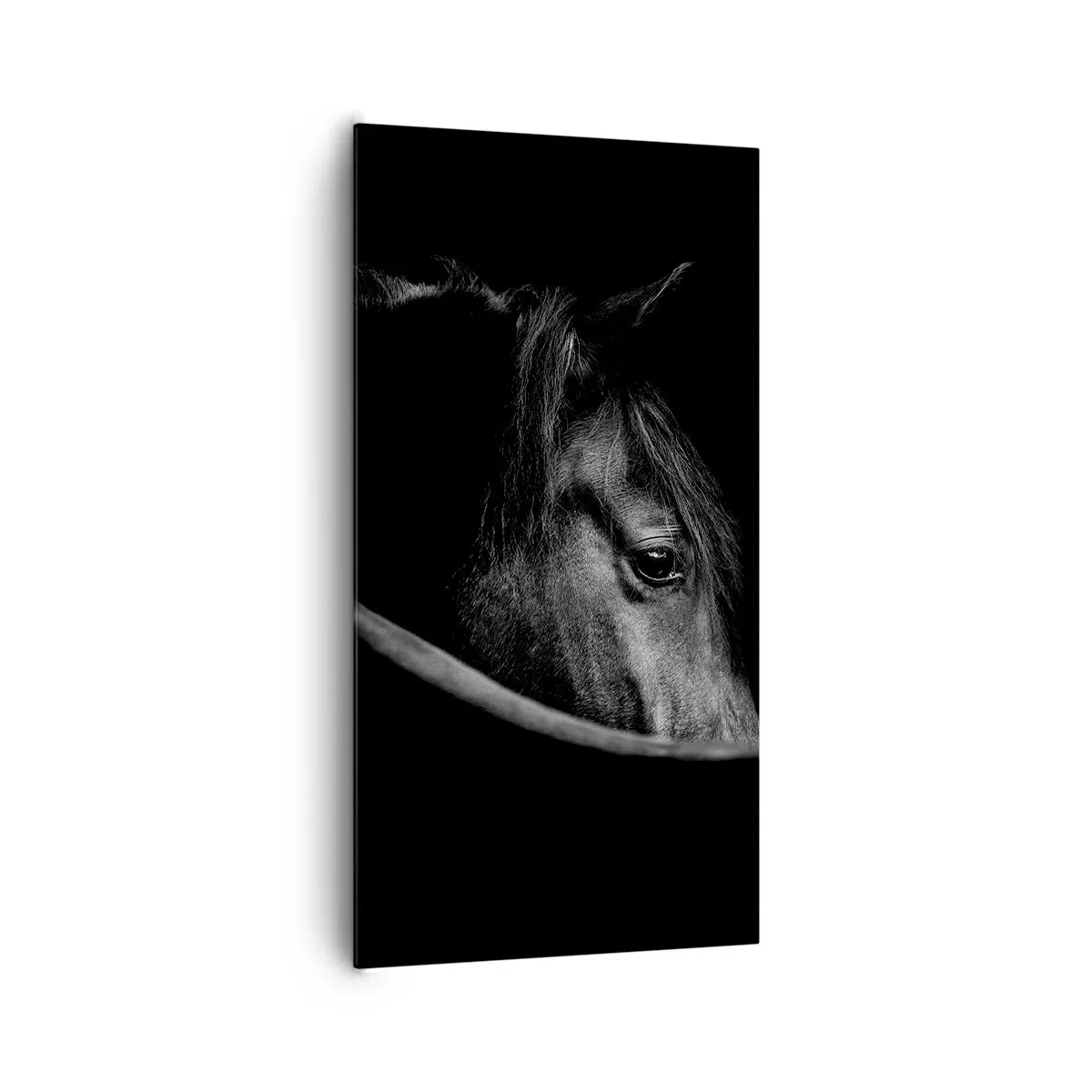 Schilderen op canvas - Zwarte Prins - 65x120 cm