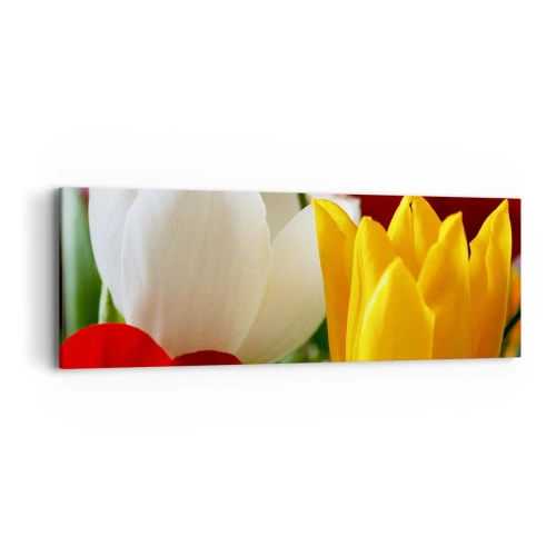 Schilderen op canvas - Tulpenkoorts - 90x30 cm