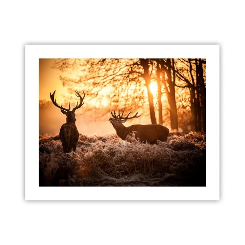 Poster - De droom van een jager - 50x40 cm