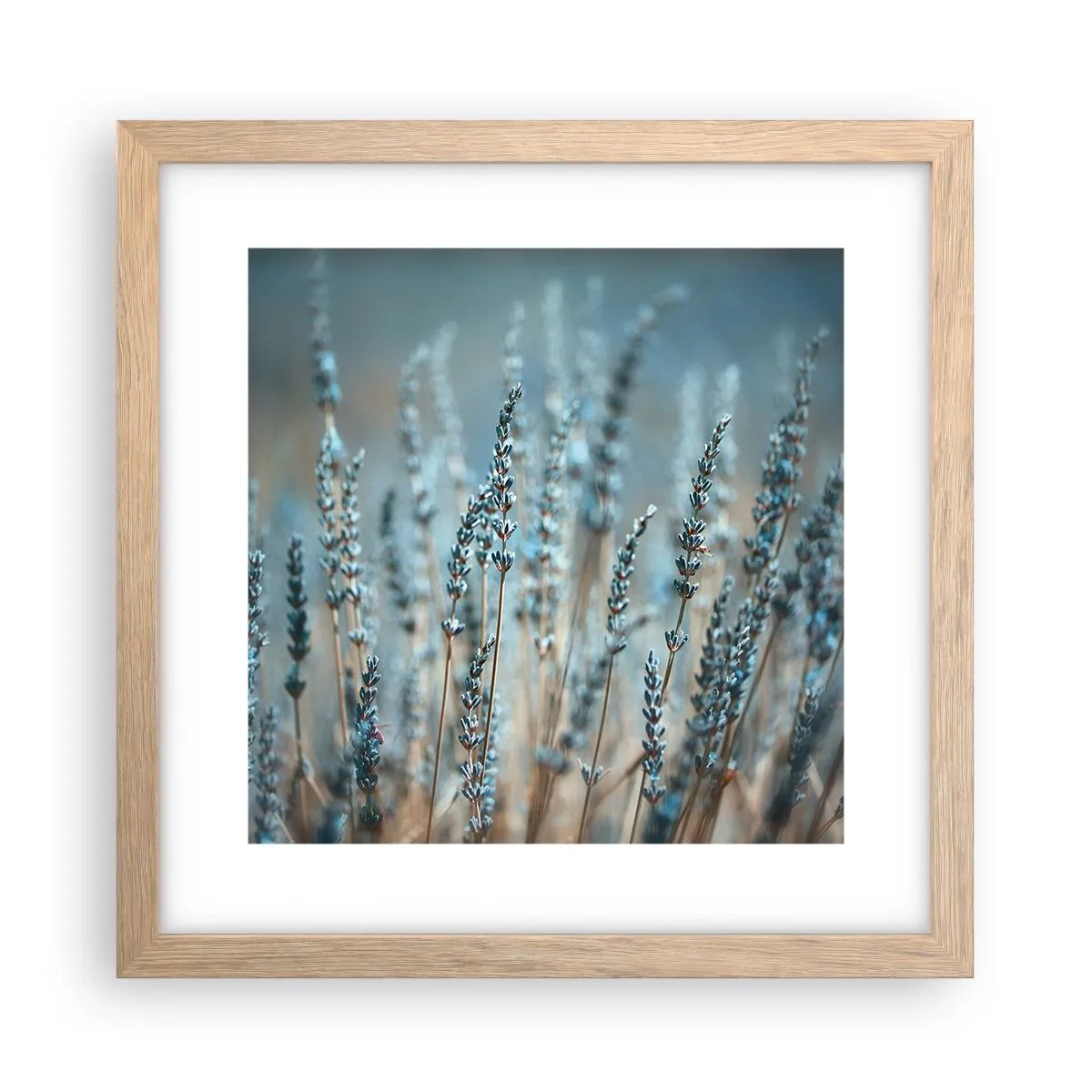 Een poster in een licht eiken lijst - Geurig korenveld - 30x30 cm