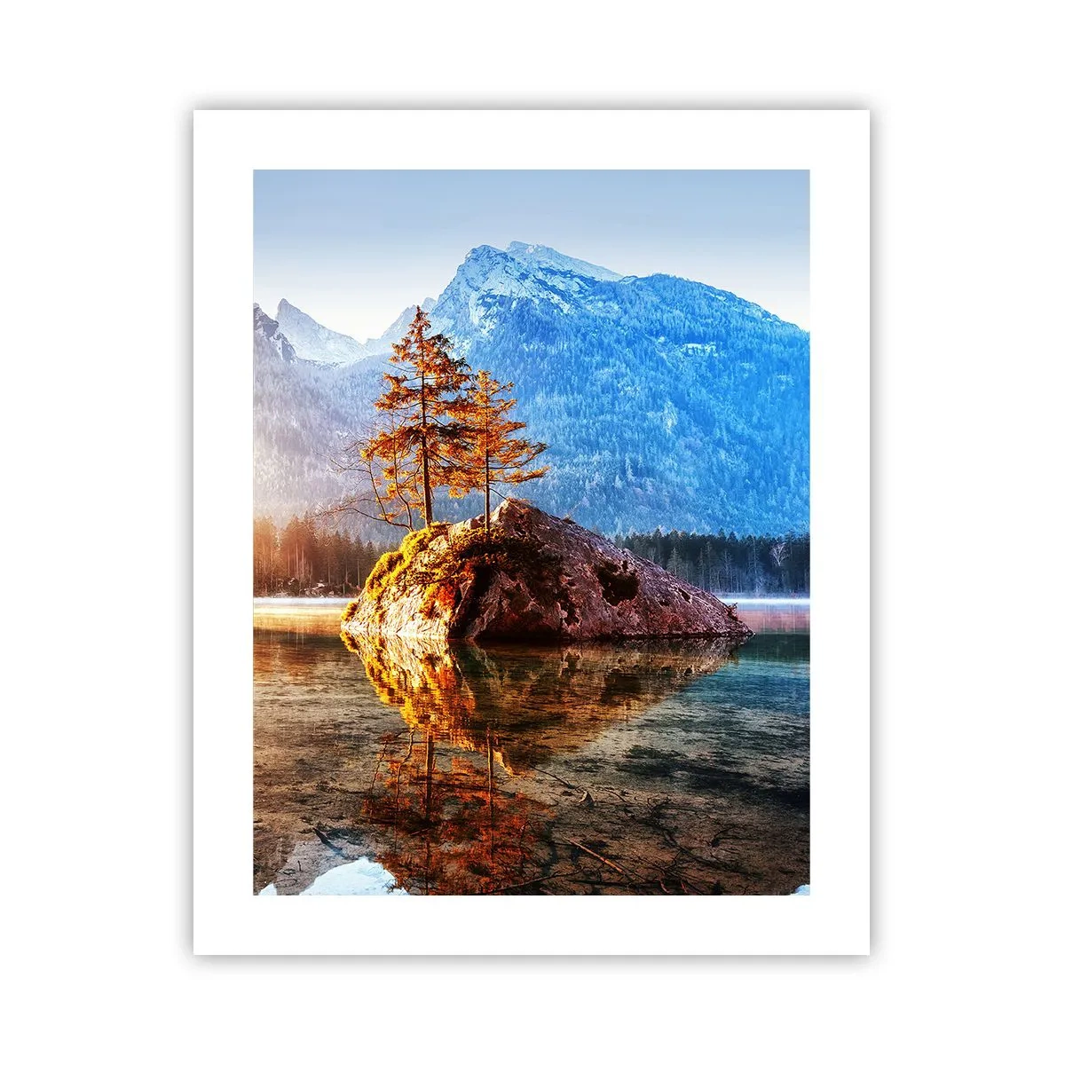 Poster - De natuur in een nieuw licht - 40x50 cm