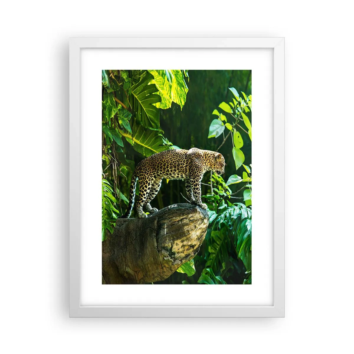 Poster in een witte lijst - Op jacht? - 30x40 cm