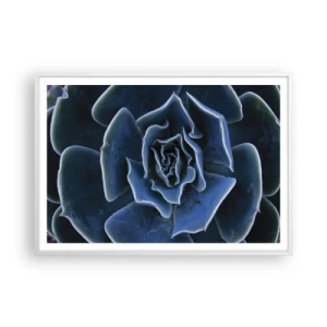 Poster in een witte lijst - Woestijn bloem - 100x70 cm