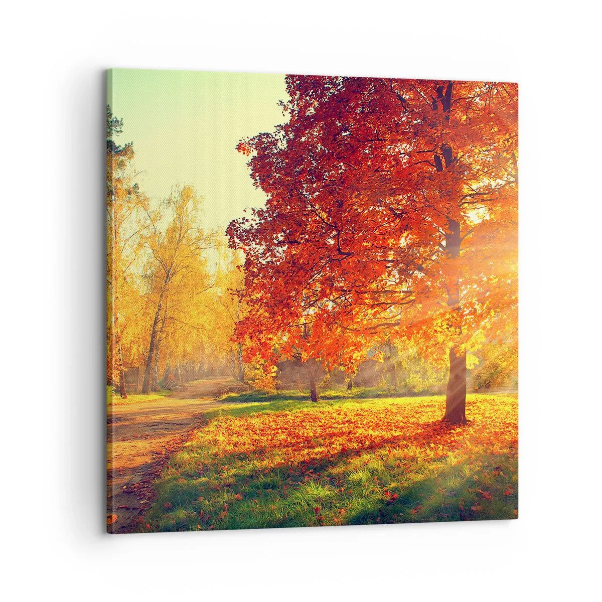 Schilderen op canvas - Rood is mooi - 60x60 cm