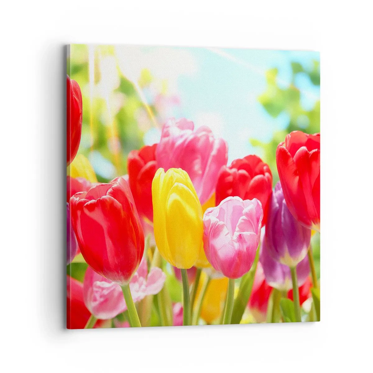 Schilderen op canvas - Dat zijn wij, de kleuren van mei! - 70x70 cm