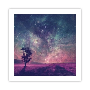 Poster - Onder de magische hemel - 50x50 cm