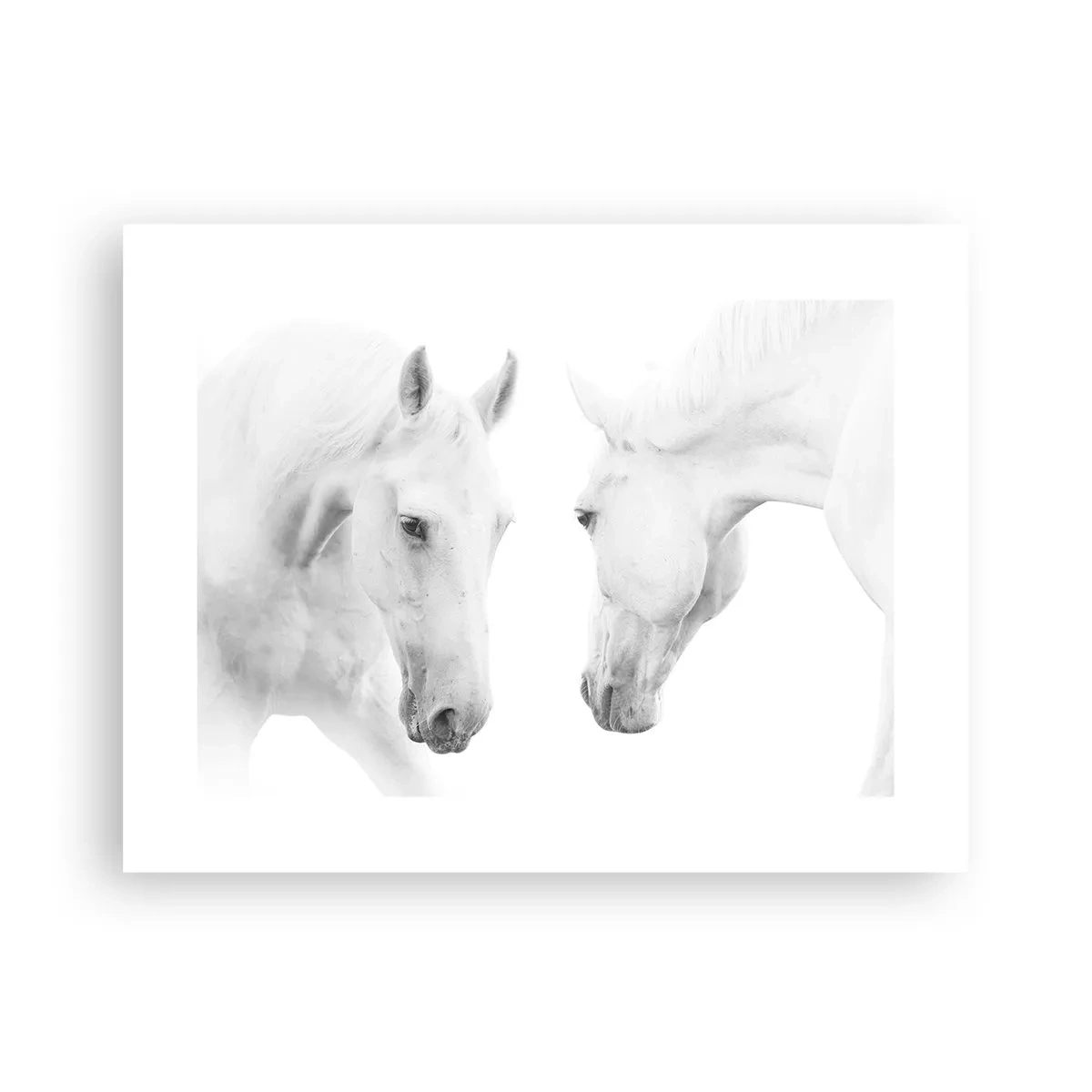 Poster - Is dit vriendschap...? - 40x30 cm