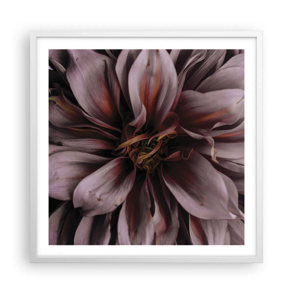 Poster in een witte lijst - Een bloemenhart - 60x60 cm