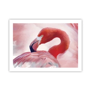 Poster - Vogel schoonheid - 70x50 cm
