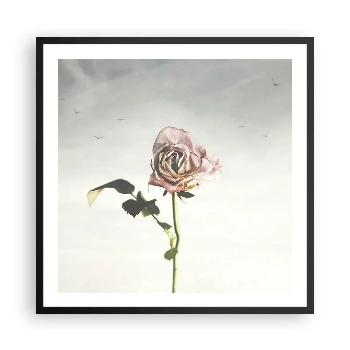 Poster in een zwarte lijst - Begroeting van de lente - 60x60 cm
