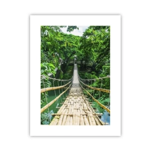 Poster - Apenbrug over de green - 30x40 cm
