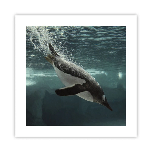 Poster - Welkom in mijn wereld - 40x40 cm