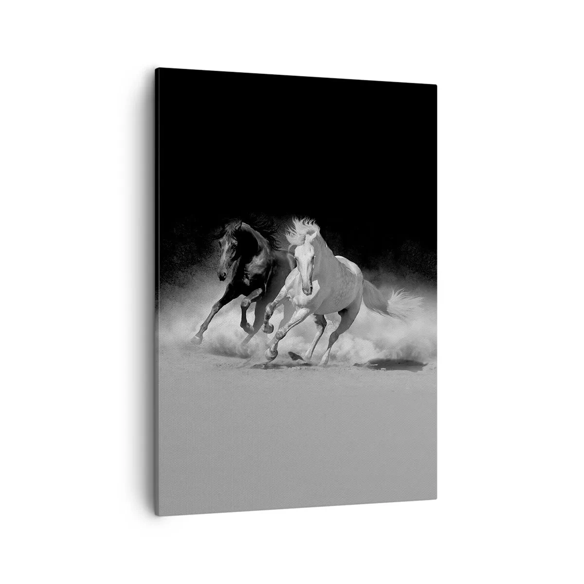 Schilderen op canvas - Vrijheidsgalop - 50x70 cm