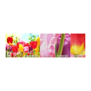 Fotobehang Monster Premium Canvas - Dat zijn wij, de kleuren van mei! - Bloemen, Tulpen, Tuin - 100x30 cm