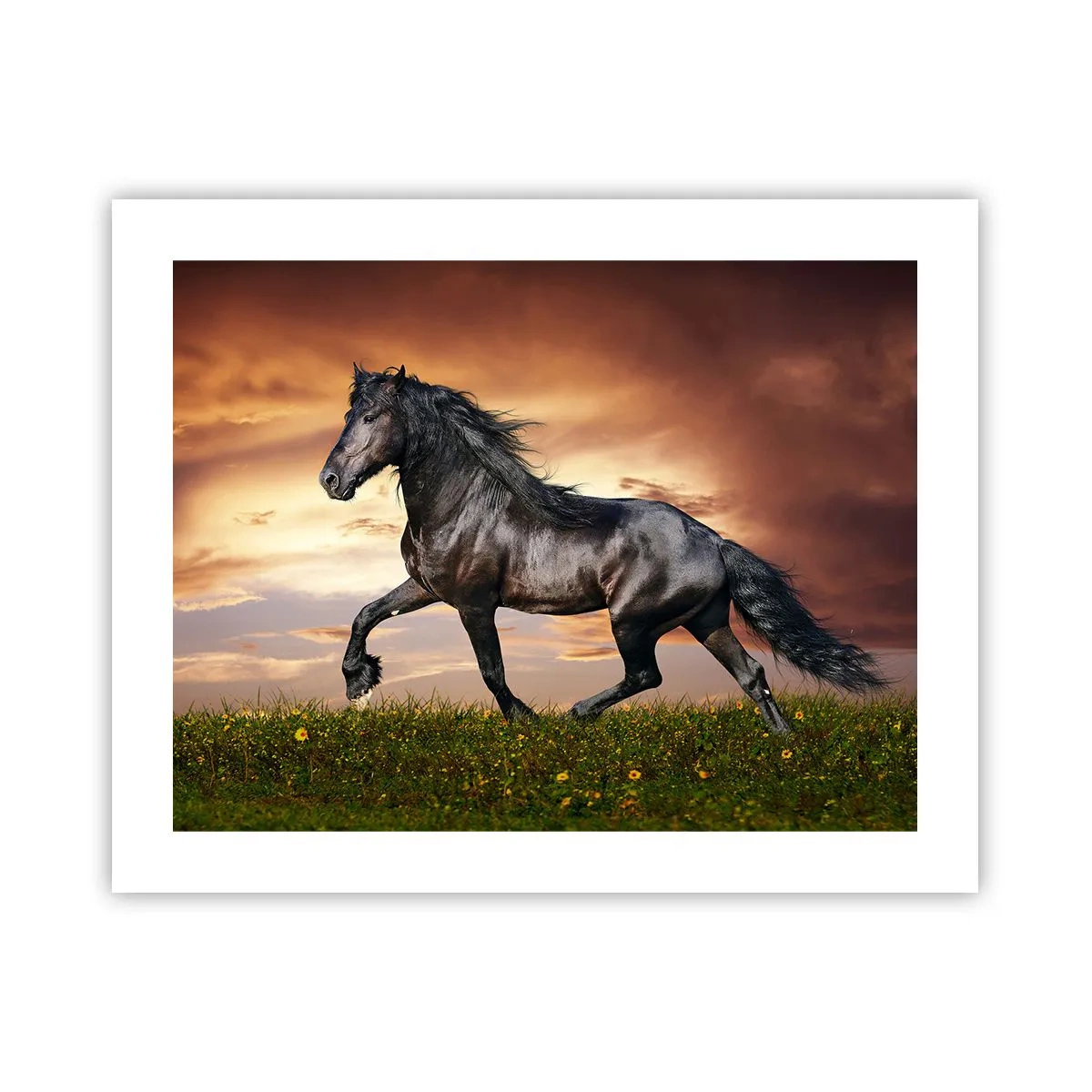 Poster - Zwarte Prins - 50x40 cm