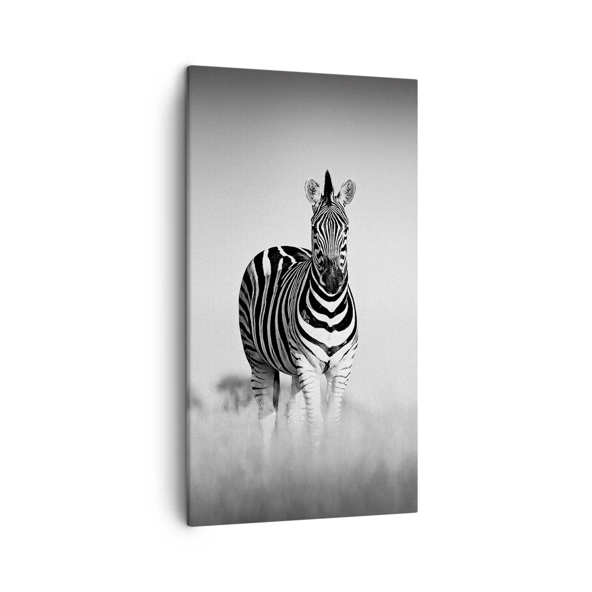 Schilderen op canvas - Toch is de wereld zwart-wit - 45x80 cm