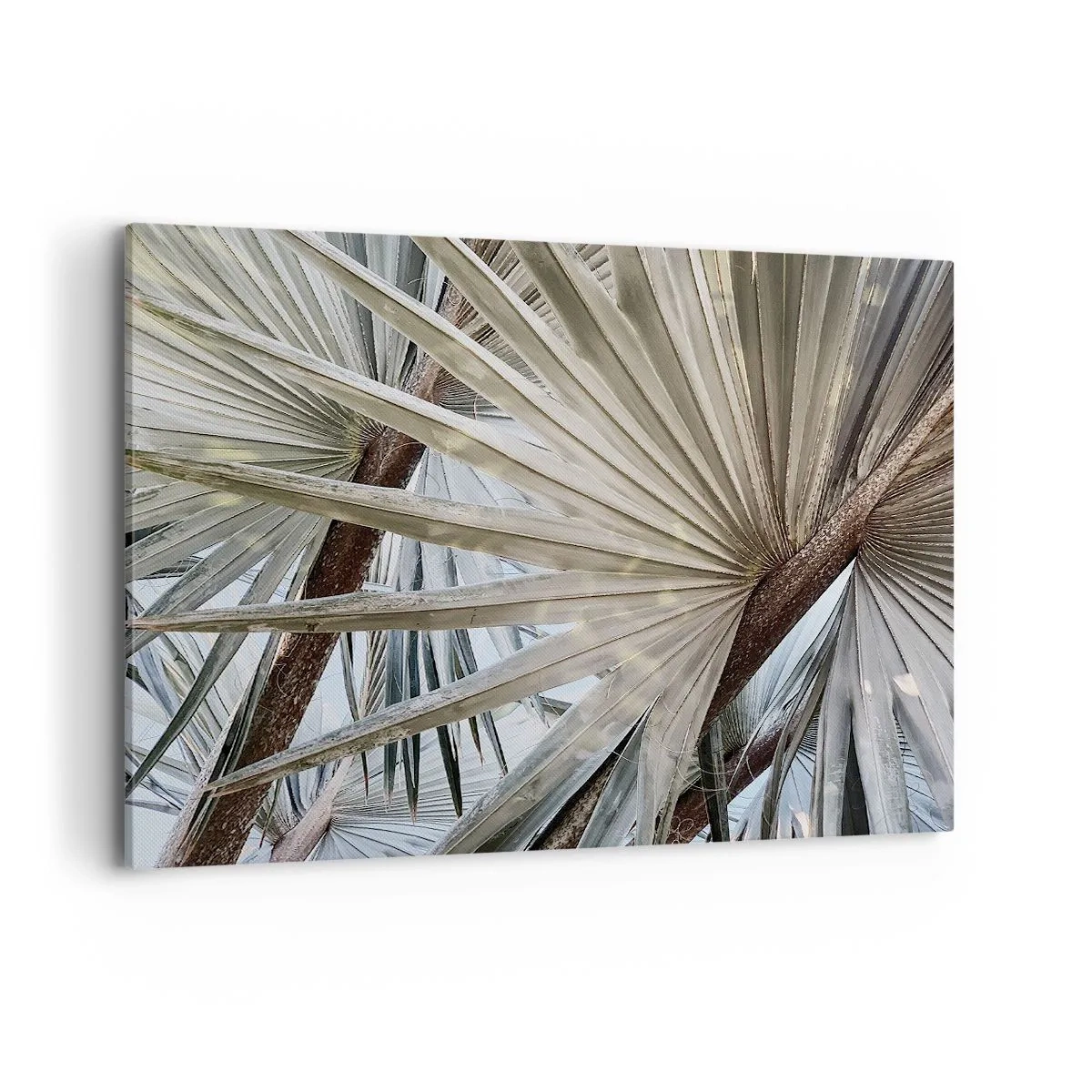 Schilderen op canvas - Fans in de tropen - 120x80 cm