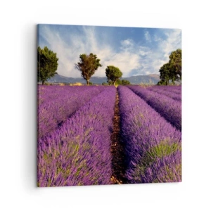 Schilderen op canvas - Lavendel velden - 60x60 cm