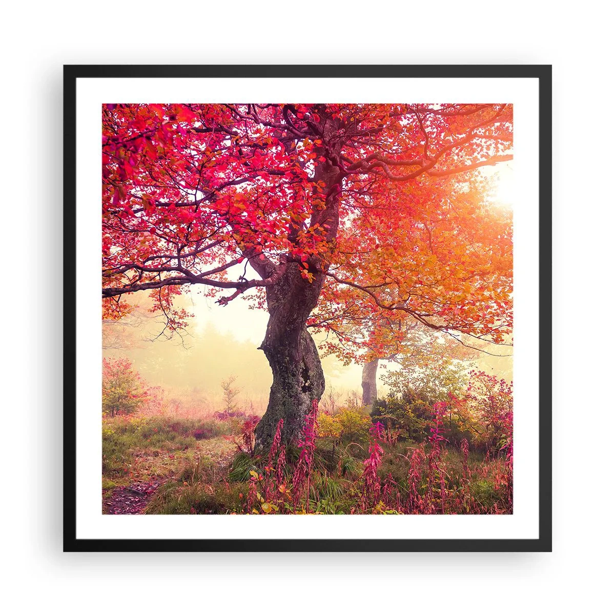 Poster in een zwarte lijst - Bloeiende razernij - 60x60 cm