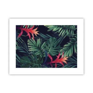 Poster - Ontsteken in het groen - 40x30 cm