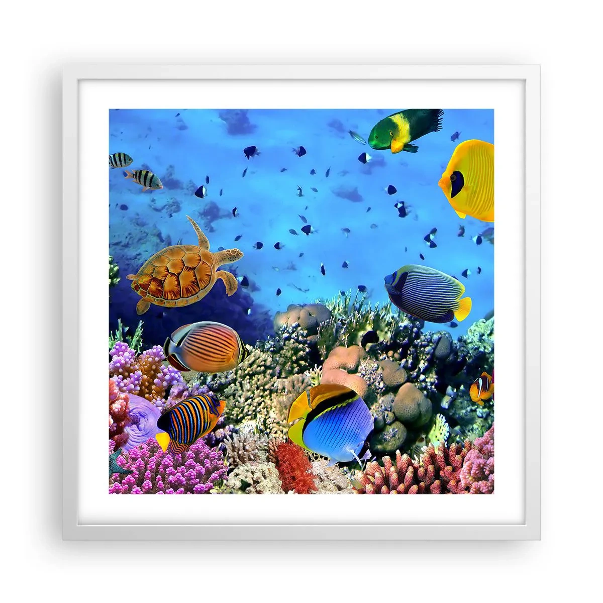 Poster in een witte lijst - En wat weten we over het leven... - 50x50 cm