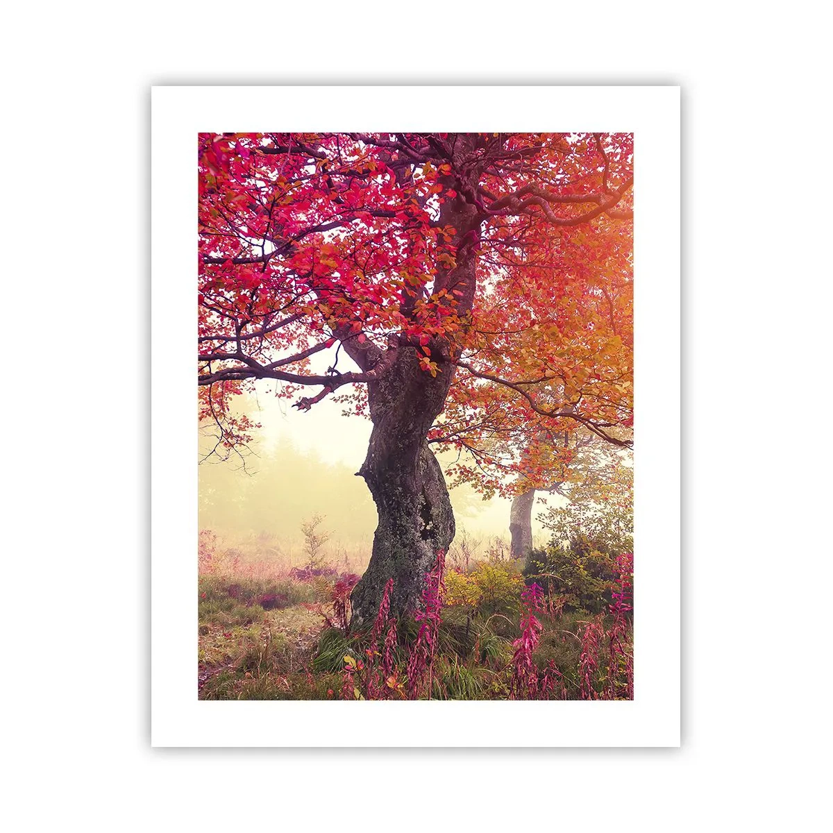 Poster - Bloeiende razernij - 40x50 cm