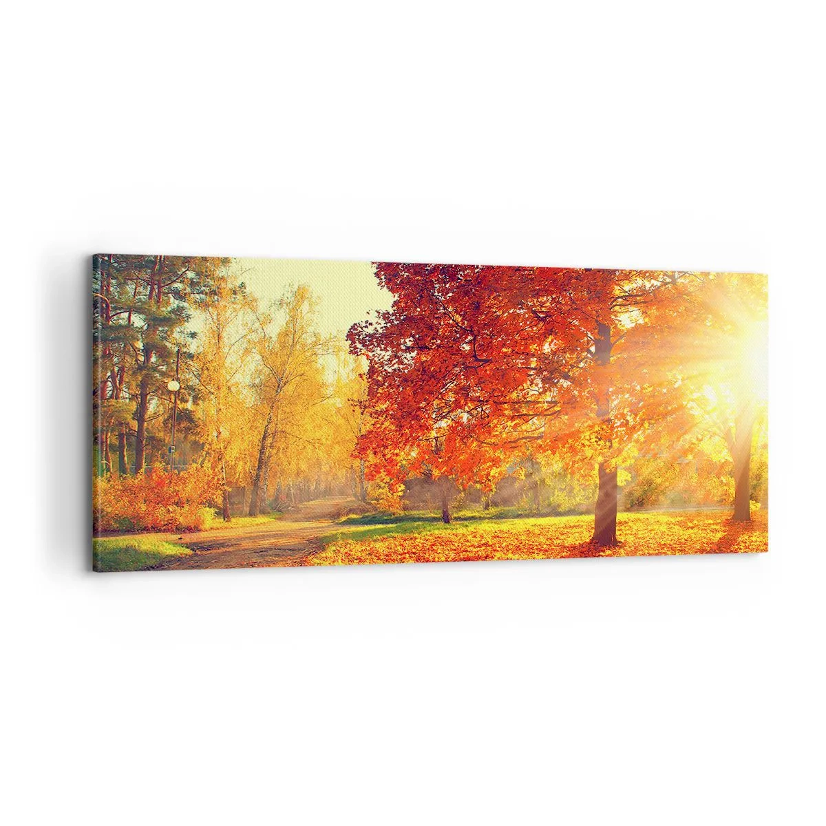 Schilderen op canvas - Rood is mooi - 100x40 cm