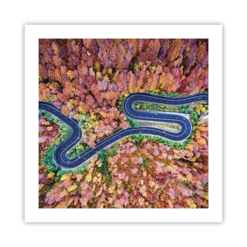 Poster - Een kronkelende weg door het bos - 50x50 cm