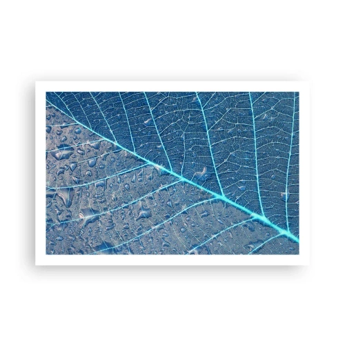 Poster - Leven in blauw - 91x61 cm