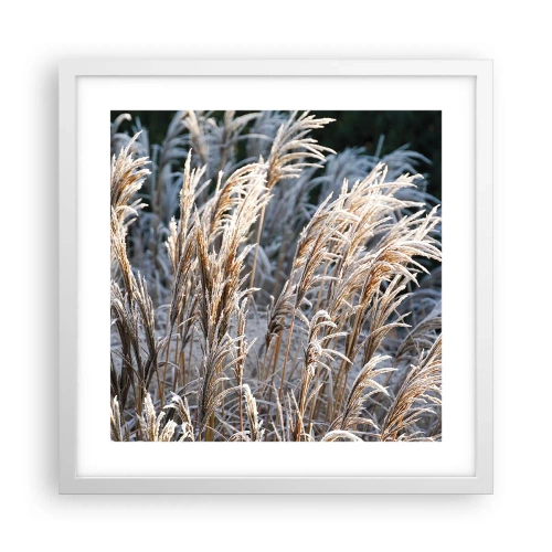 Poster in een witte lijst - Gekleed met vorst - 40x40 cm