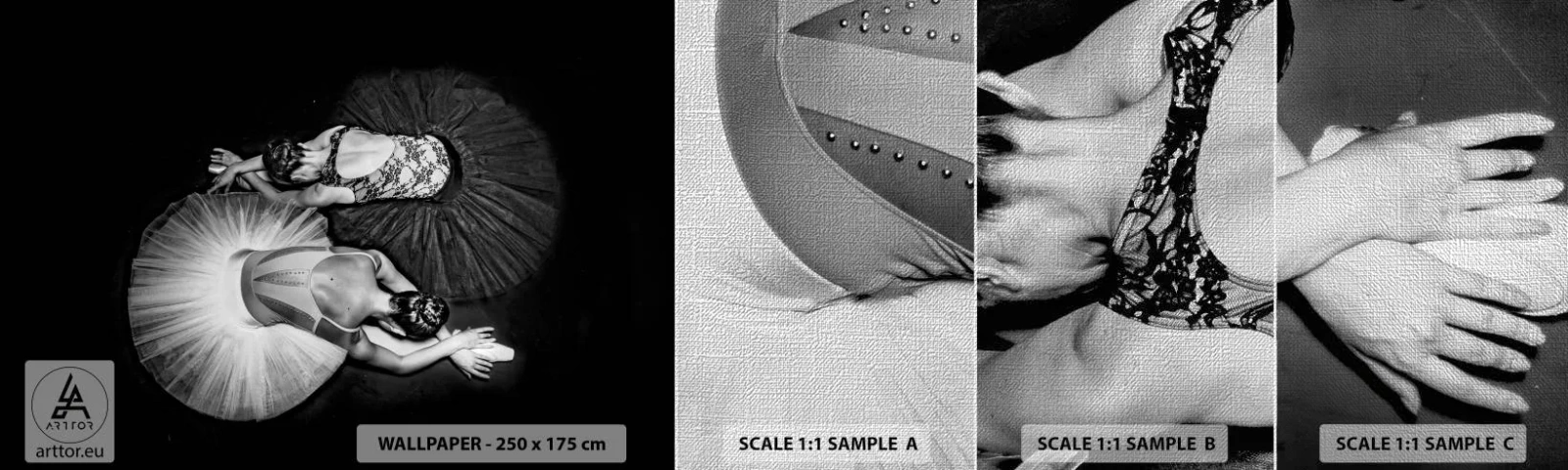 Fotobehang Monster Premium Canvas - Jin en Jang - perfecte balans - Ballerina, Ballet, Dans - 100x30 cm