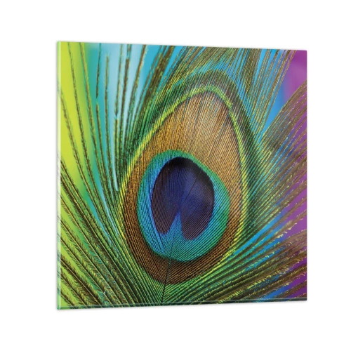 Schilderen op glas - Oog in oog - 50x50 cm