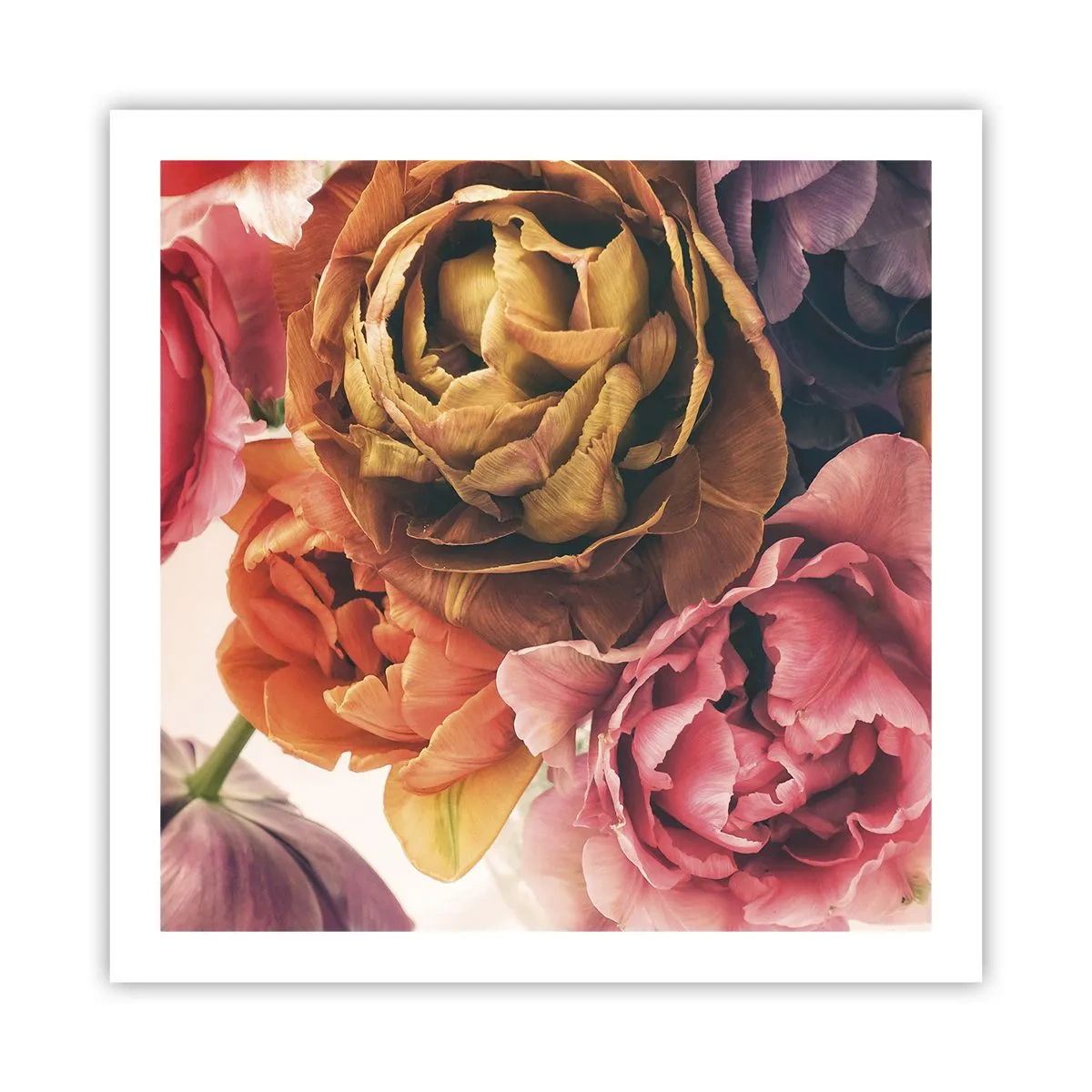 Poster - Een viering van het leven - 60x60 cm