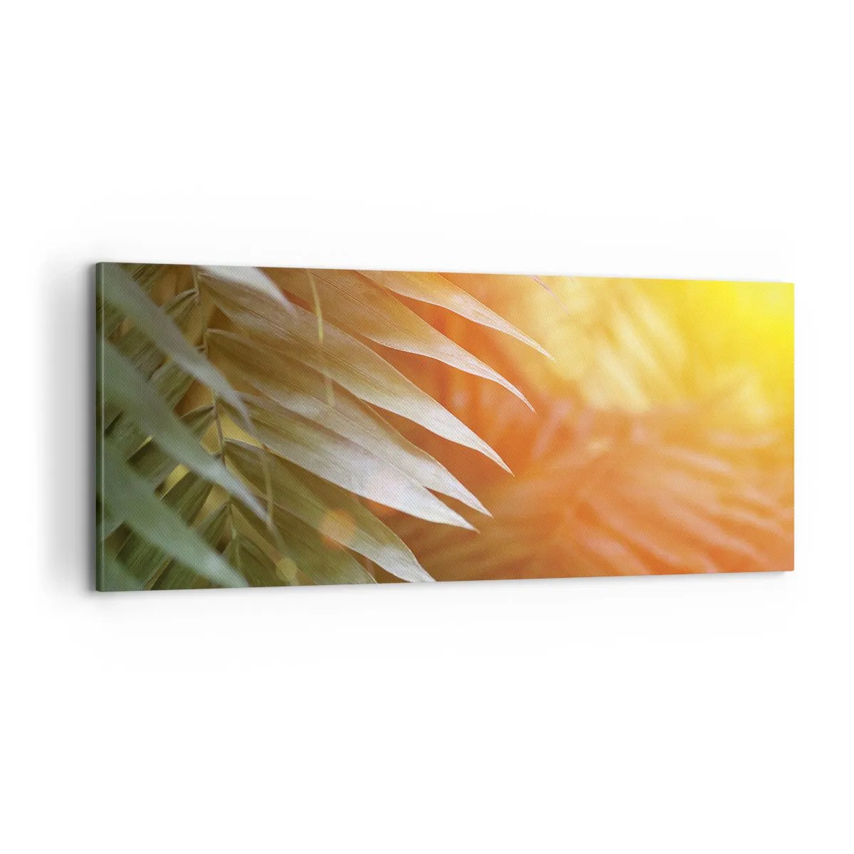 Schilderen op canvas - Ochtend in de jungle - 100x40 cm