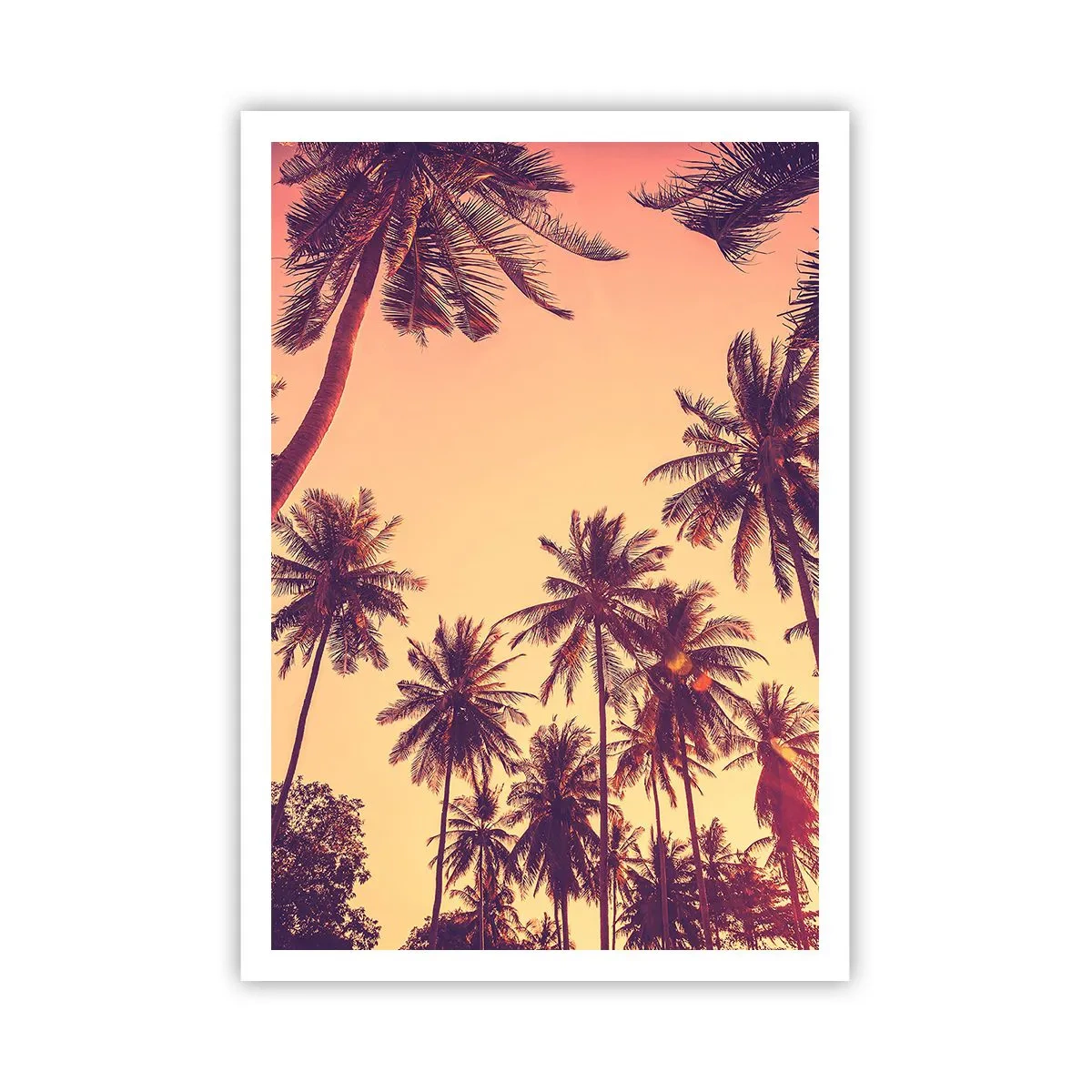 Poster - Een tropische variant - 70x100 cm
